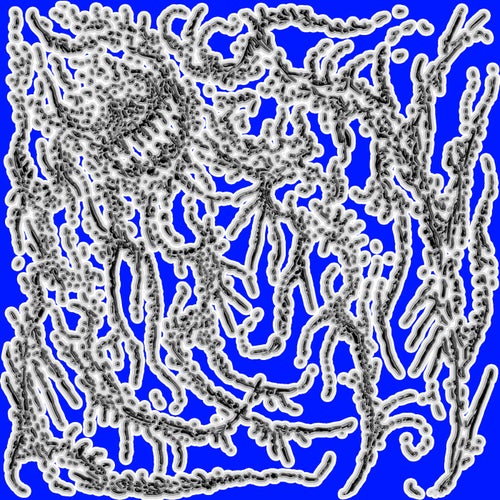 Observations EP