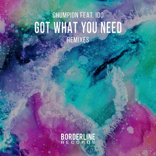Got What You Need (Remixes)