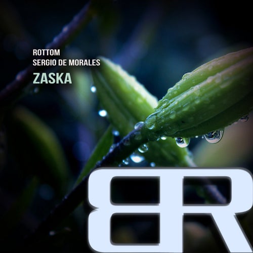 Zaska