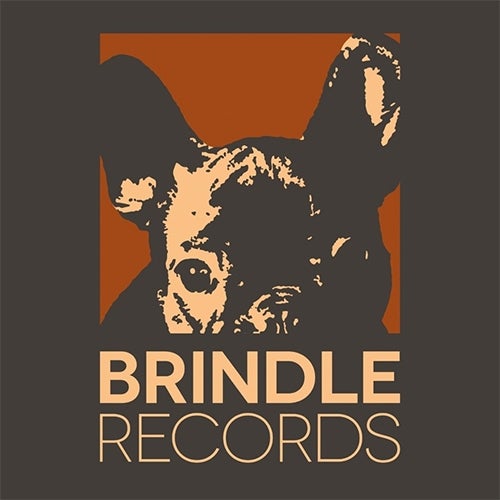 Brindle Records
