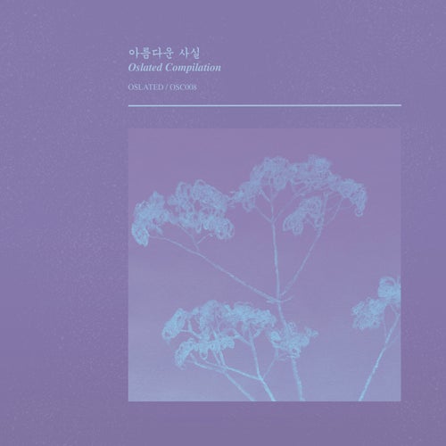 아름다운 사실 Beautiful Facts