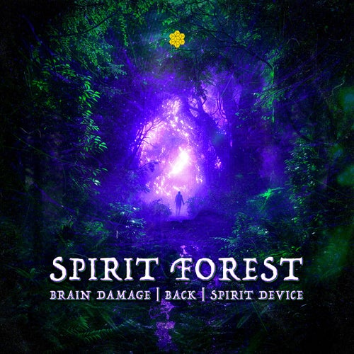  Brain Damage Vs. Back & Spirit Device - Spirit Forest (2024)  795aa651-0220-4452-b619-a1fec88646b0