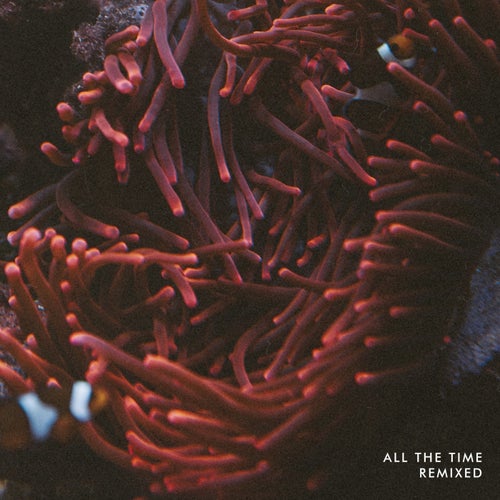 All the Time Remixed