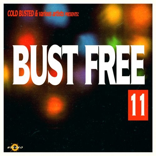 Cover art for Bust Free 11