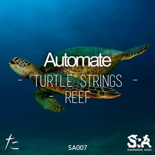 Turtle Strings/Reef