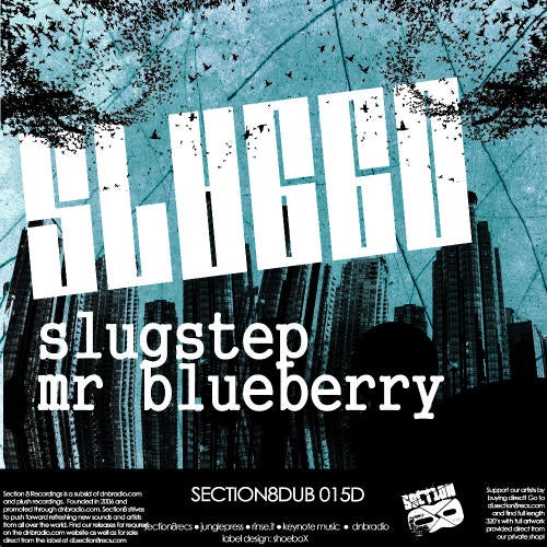 Slugstep / Mr. Blueberry