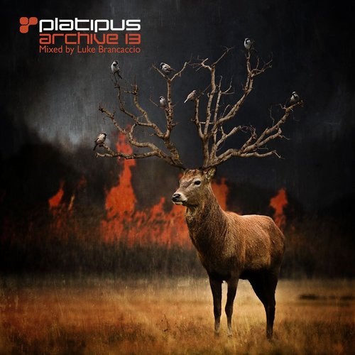 Cover art for Platipus - Archive 13