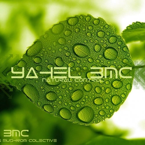 Natural Control remixes