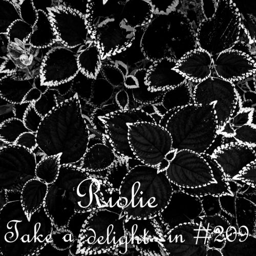 Take a delight in... # 209