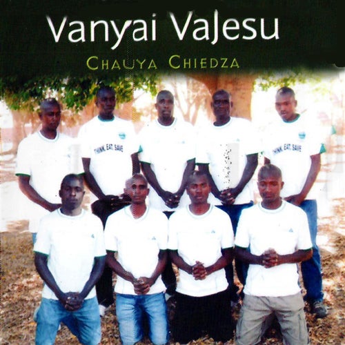 Chauya Chiedza