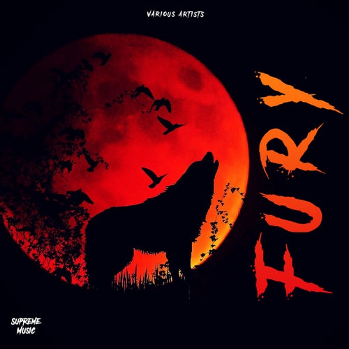 Fury