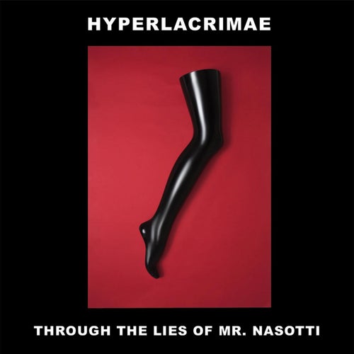 Through The Lies of Mr. Nasotti