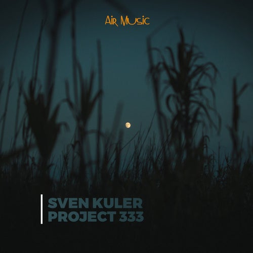 Project 333