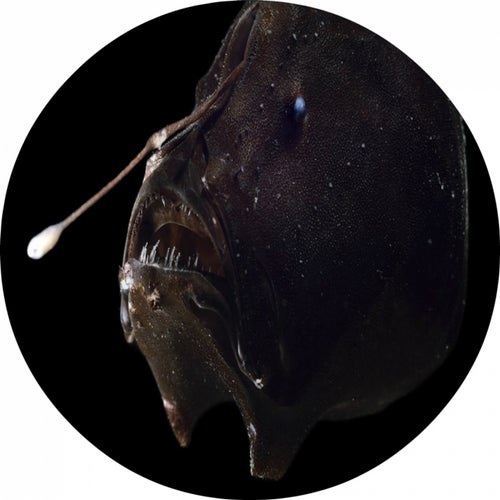 Ruptures EP