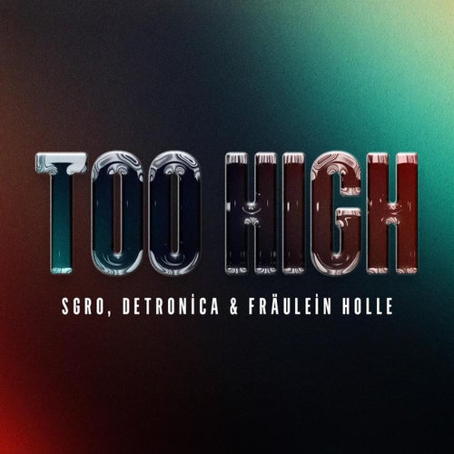 Too High (Extended Mix)