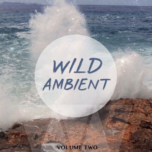 Wild Ambient, Vol. 2 (Best Of Electronic Downbeat)