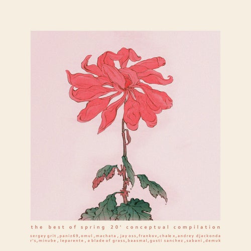 The Best of Spring '20 Conceptual Compilation