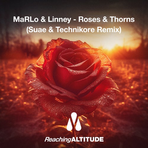 Roses & Thorns