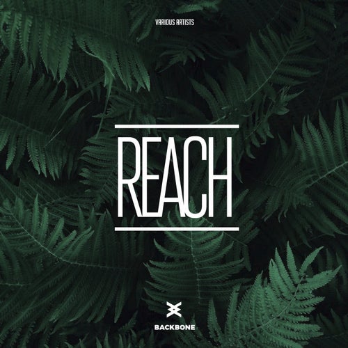 Reach