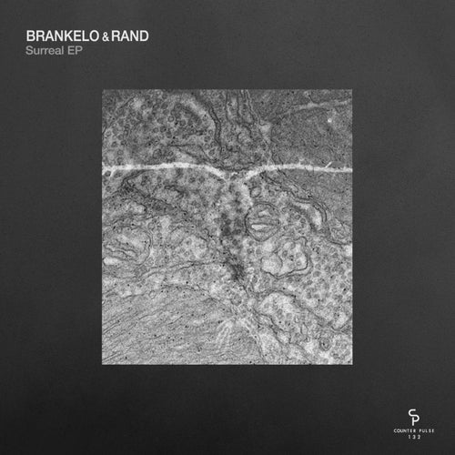 Surreal EP