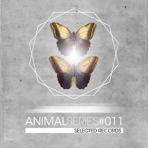 ANIMAL SERIES 011