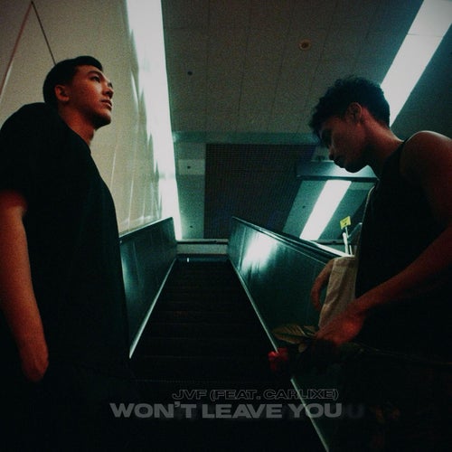 Won't Leave You