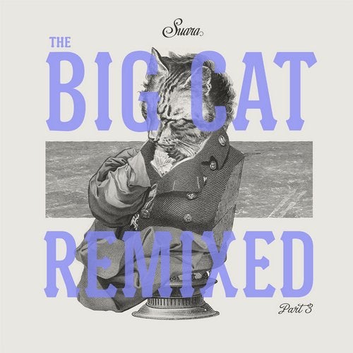 Cover art for The Big Cat Remixed Part 3
