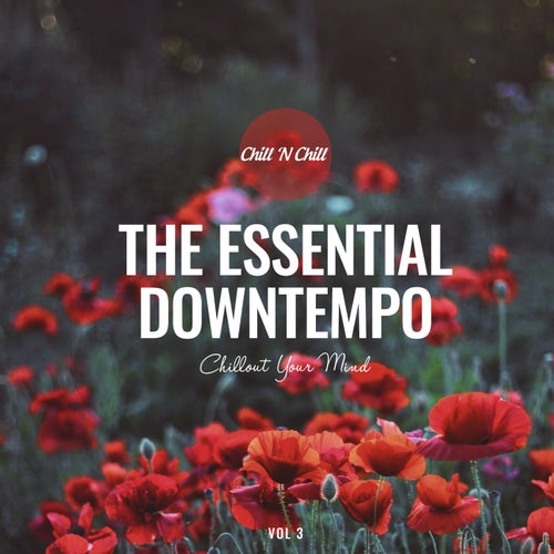 The Essential Downtempo, Vol. 3: Chillout Your Mind