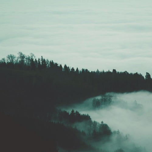 Cover art for Motionless