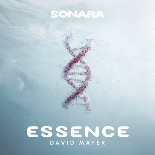 Essence