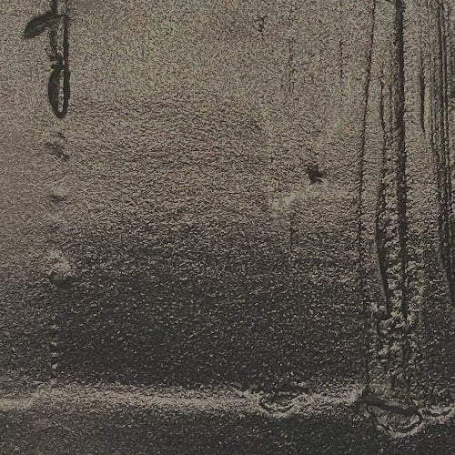 Tracks
