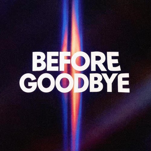 Before Goodbye
