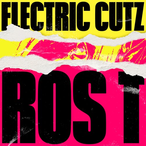Cover art for Electric Cutz