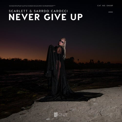 Never Give Up