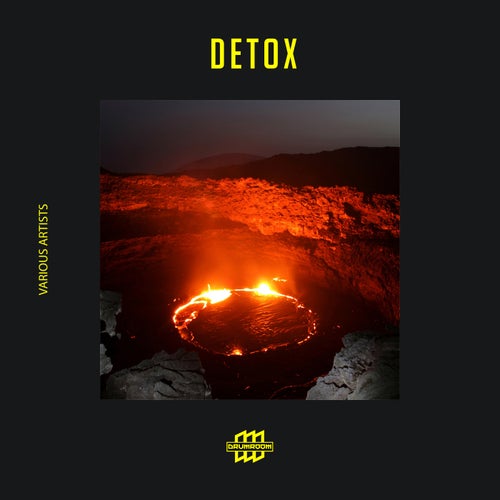 Cover art for Detox