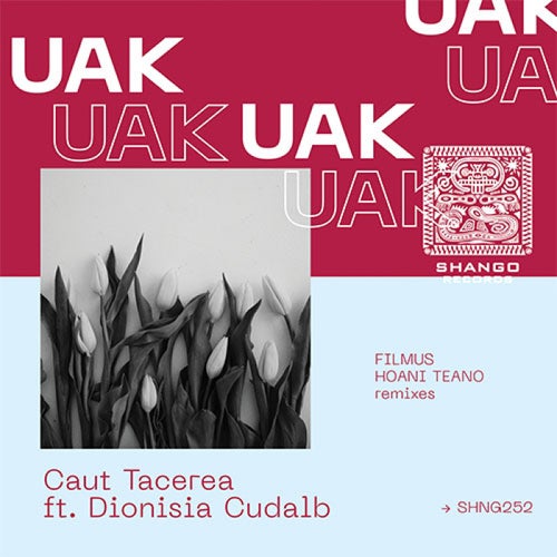Caut Tacerea ft. Dionisia Cudalb