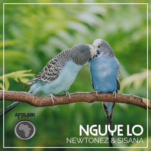 Nguye lo