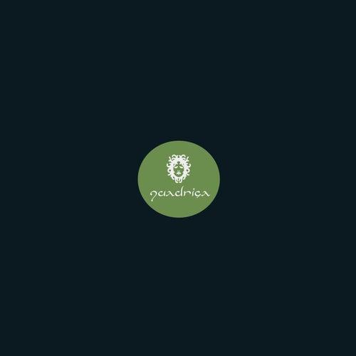 Encrypted Signal