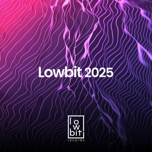 Lowbit 2025