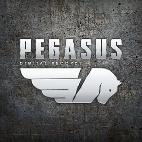 Pegasus Digital Records
