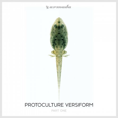 Versiform Part One - Extended Versions