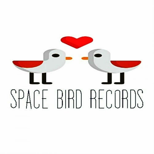 Space Bird Records