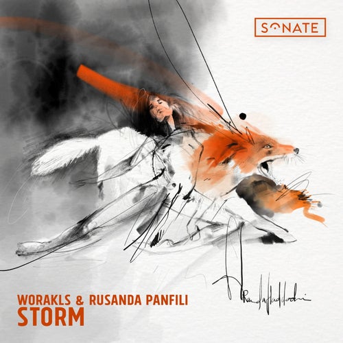 Cover art for Storm