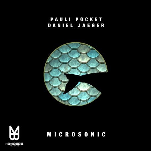 Cover art for Microsonic