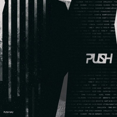 Cover art for PUSH VA 2