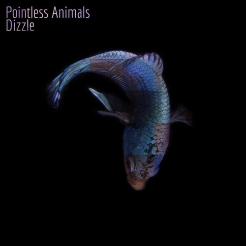  Pointless Animals - Dizzle (2023) 