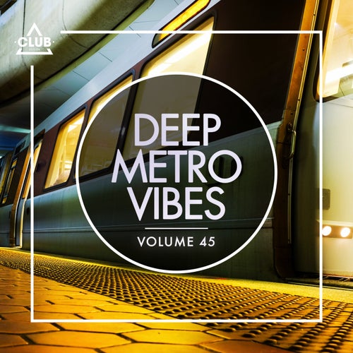 Deep Metro Vibes Vol. 45
