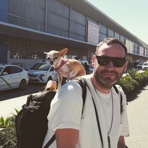 Doorly Homeward Bound Chart