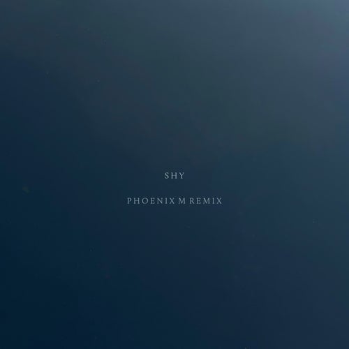 Shy (Phoenix M Remix)