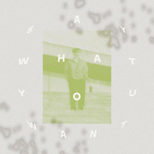 Say What You Want
